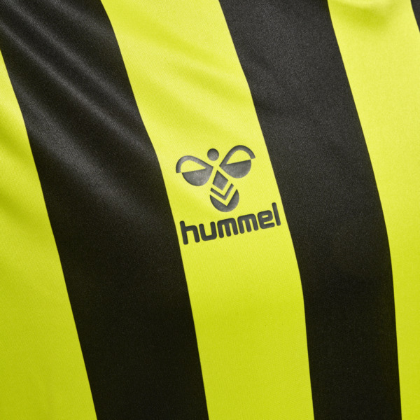 Hummel hmlCore XK Striped Trikot Herren LIME POPSICLE/BLACK XL