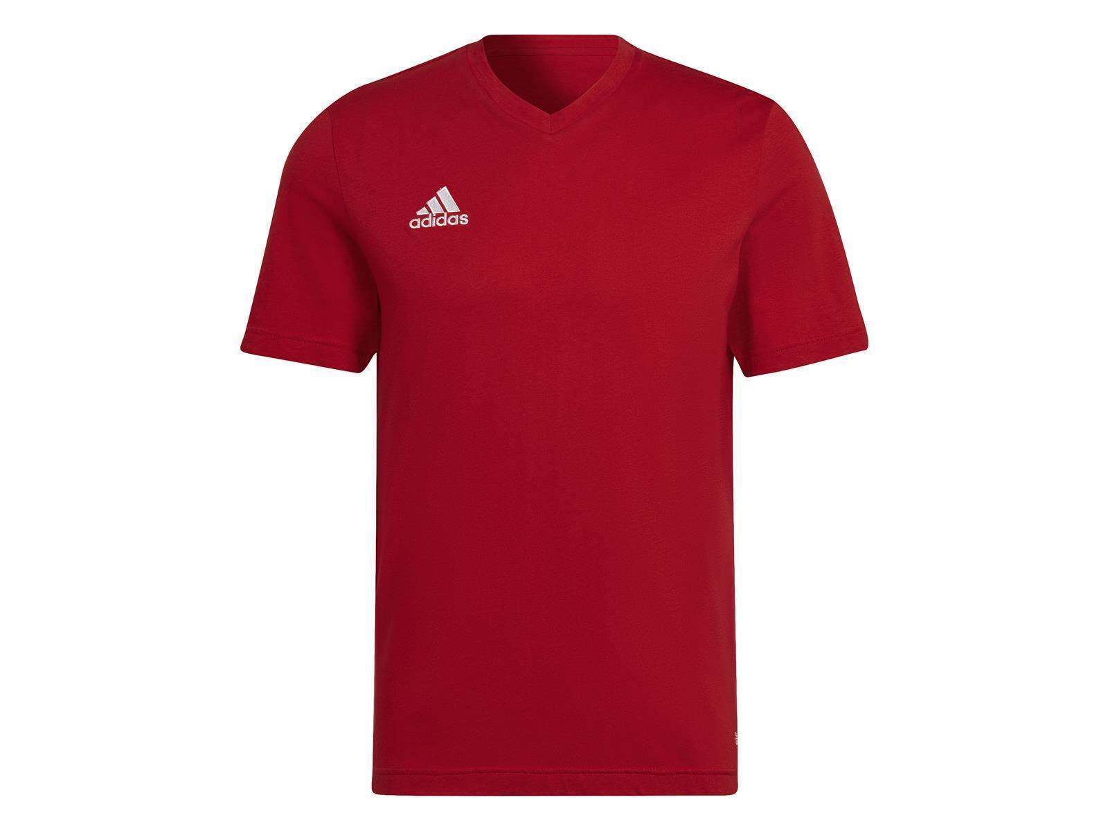adidas ENT22 TEE TEPORE XL