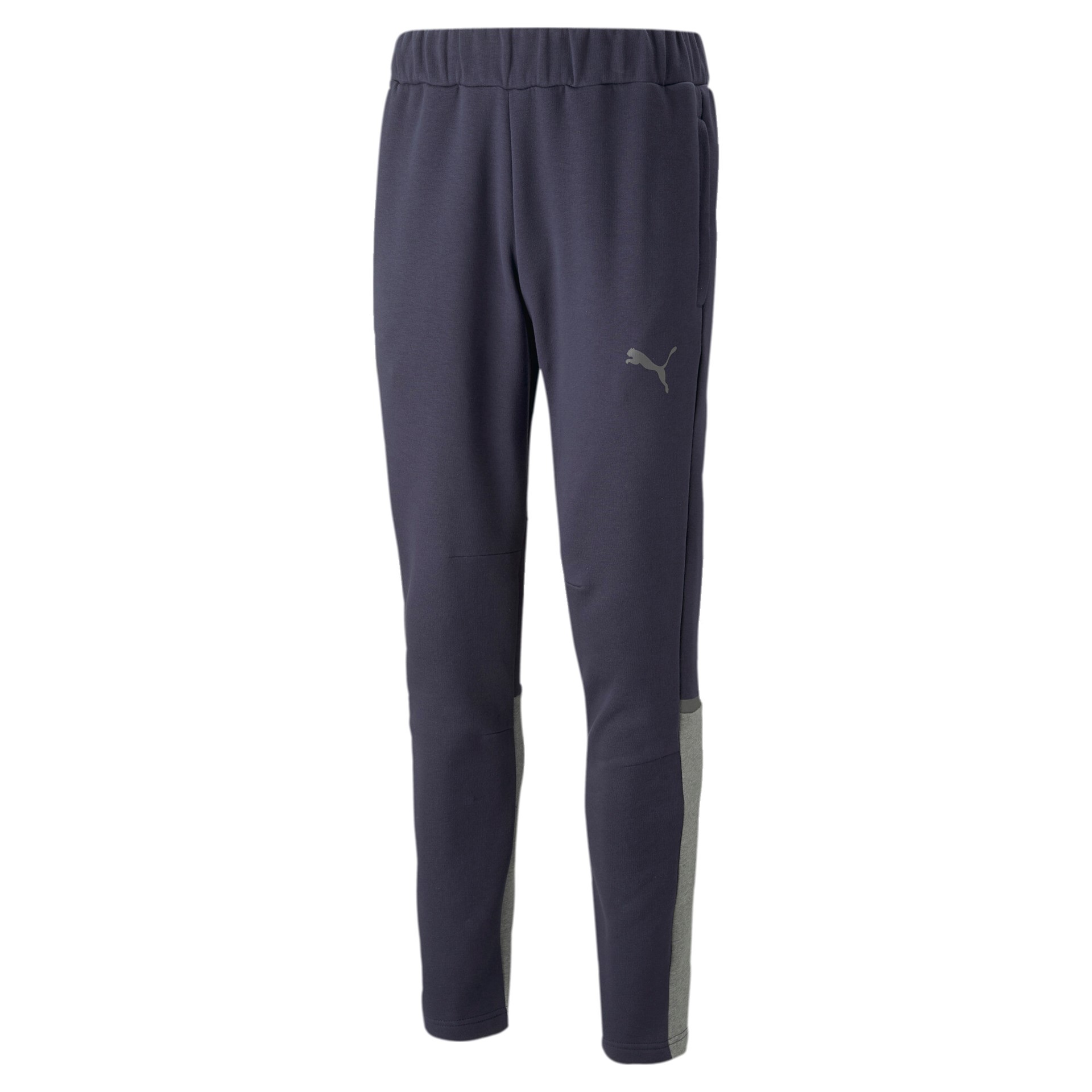 Puma Team Cup Casuals Pants parisian night L
