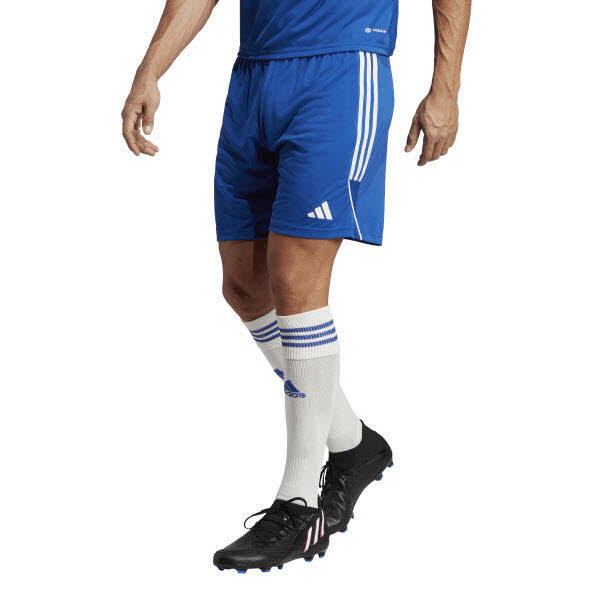 adidas Tiro 23 Short Erwachsene royalblau/white L