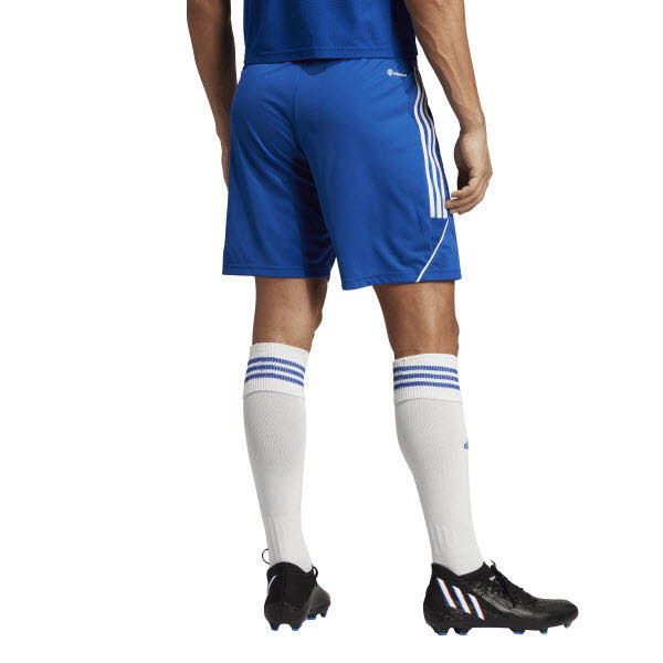 adidas Tiro 23 Short Erwachsene royalblau/white L