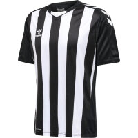 Hummel hmlCore XK Striped Trikot Herren