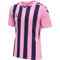 Hummel hmlCore XK Striped Trikot Herren COTTON CANDY/ACAI 3XL