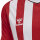 Hummel hmlCore XK Striped Trikot Herren TRUE RED/WHITE S
