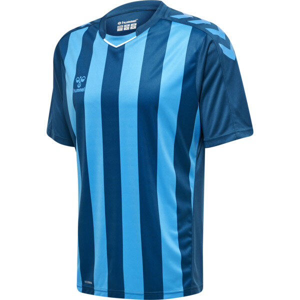 Hummel hmlCore XK Striped Trikot Herren BLUE CORAL/BLUE DANUBE 2XL