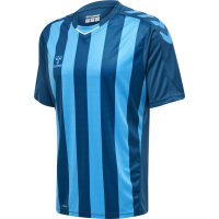 Hummel hmlCore XK Striped Trikot Herren BLUE CORAL/BLUE DANUBE M