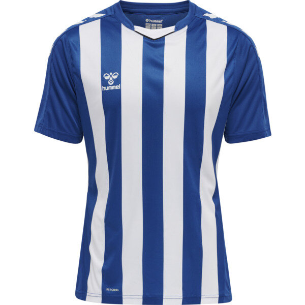 Hummel hmlCore XK Striped Trikot Herren TRUE BLUE/WHITE 2XL