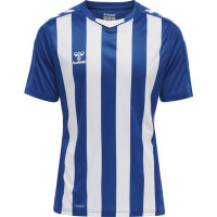 Hummel hmlCore XK Striped Trikot Herren TRUE BLUE/WHITE XL