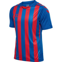 Hummel hmlCore XK Striped Trikot Herren TRUE BLUE/TRUE RED S