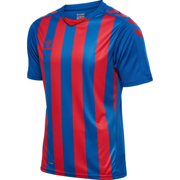 Hummel hmlCore XK Striped Trikot Herren TRUE BLUE/TRUE RED XL