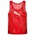 Puma Training BIB Leibchen