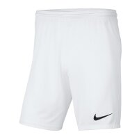 Nike PARK II KNIT SHORT NB 725887 100 S