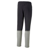Puma Team Cup Casuals Pants