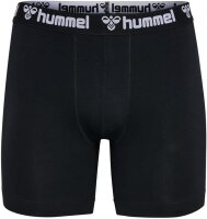 Hummel hmlBOXERS 2-PACK