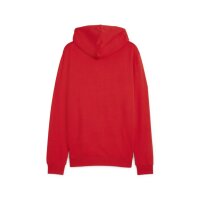 Puma teamGoal Casuals Hooded Jacket
