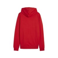 Puma teamGoal Casuals Hoody