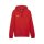 Puma teamGoal Casuals Hoody