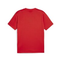 Puma teamGoal Jersey