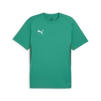 Puma teamGoal Jersey sport green-puma white L