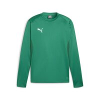 Puma teamGoal Training Sweat sport green-puma white-power green L