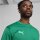 Puma teamGoal Training Sweat sport green-puma white-power green XXL
