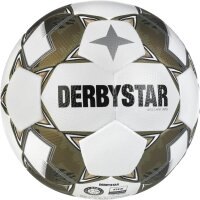 Derbystar Brillant APS v24 Spielball