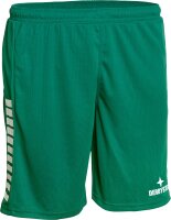 Derbystar Primo Hose Erwachsene gruen weiss S