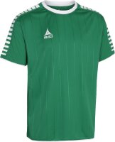 Select Argentina Trikot Kinder gruen weiss 12