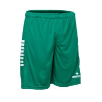 Derbystar Primo Hose v24 gruen weiss L