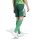 adidas Tiro 24 Short Team Dark Green / White XS