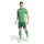 adidas Tiro 24 Short Team Dark Green / White L
