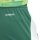 adidas Tiro 24 Short Team Dark Green / White XXXL