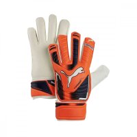 Puma evo Power Protect 3