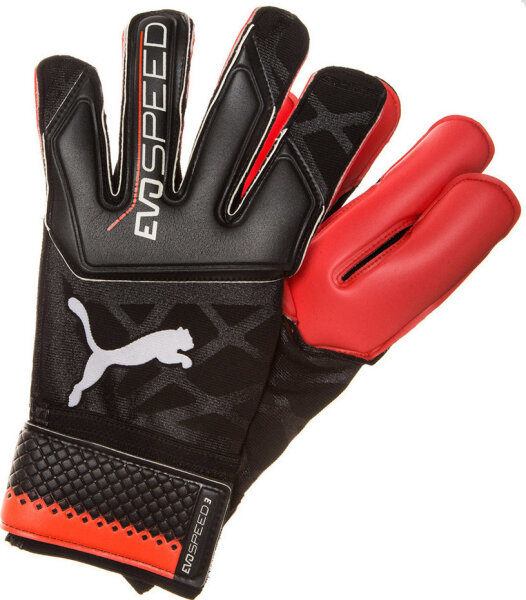 Puma evoSPEED 3.5