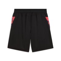 Puma IndividualCup Shorts Herren