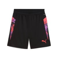 Puma IndividualCup Shorts Herren puma black L