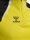 HUMMEL hmlLEAD 2.0 HALF ZIP - BLAZING YELLOW/BLACK - S