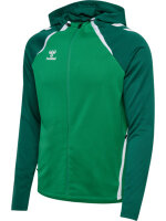 HUMMEL hmlLEAD 2.0 ZIP HOODIE - JELLY BEAN/EVERGREEN - M
