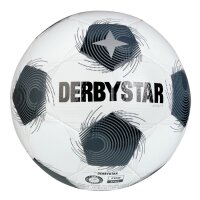 Derbystar Apus TT Trainingsball