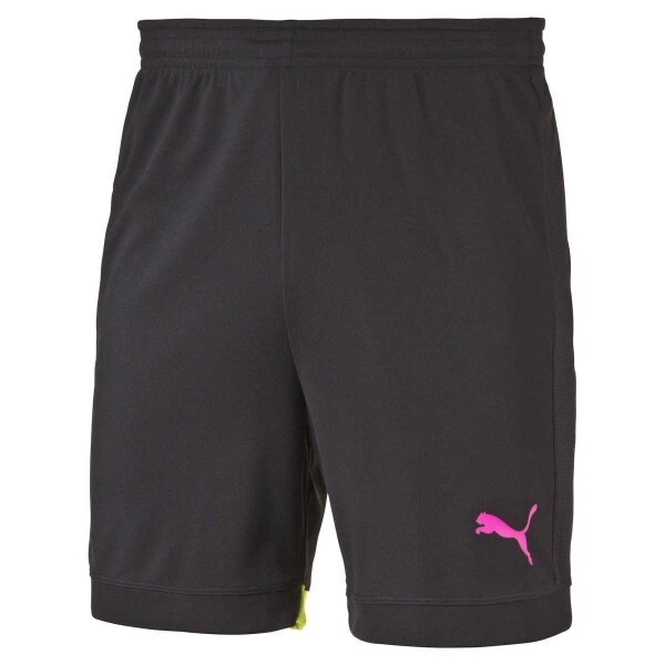 Puma IT Evotrg Shorts