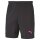 Puma IT Evotrg Shorts
