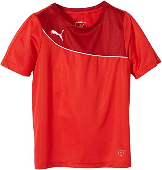 Puma Momentta Shirt