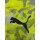 Puma IndividualCup Jersey Herren galactic gray XXL