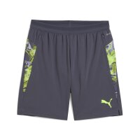Puma IndividualCup Shorts Herren galctic gray XXXL