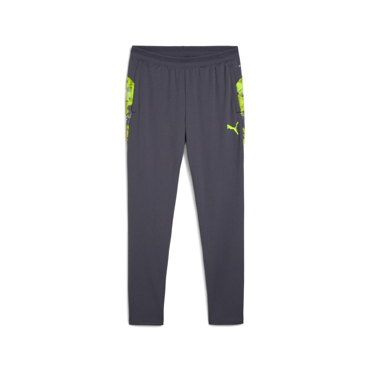 Puma IndividualCUP Training Pants Herren