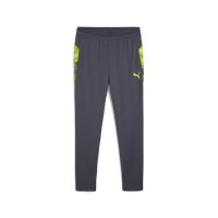 Puma IndividualCUP Training Pants Herren galactic gray XL
