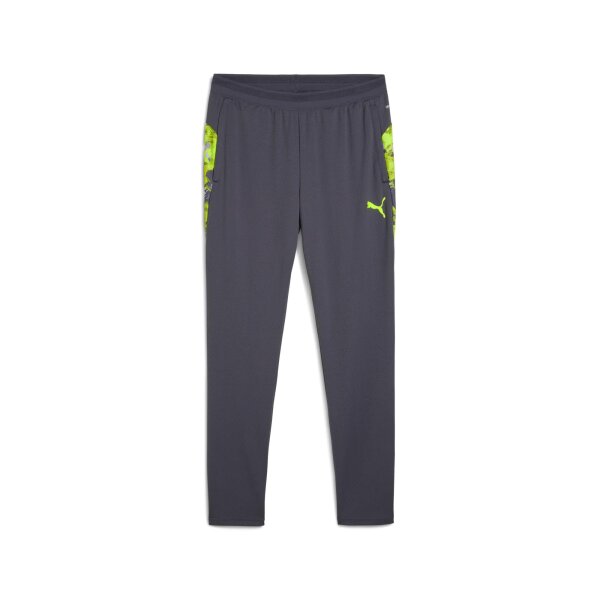 Puma IndividualCUP Training Pants Herren galactic gray XXXL