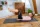 Lynxsport GmbH Yogamatte mit Ösen
