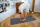Lynxsport GmbH Yogamatte mit Ösen