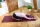 Lynxsport GmbH Yogamatte mit Ösen